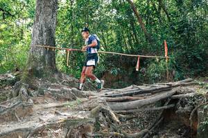 BIB: 
                            <button type="button" onclick="openModal(27802909)" class="btn btn-primary btn-sm float-right btn-popup" data-toggle="modal" data-target=".modal-high-quality">
                        <i class="fas fa-shopping-cart"></i> Add to Cart
                    </button>
                                            <button type="button" onclick="isThisMe(27802909, true)" class="btn btn-success btn-sm float-right btn-popup btn-isme hidden" data-toggle="tooltip" data-placement="bottom" title="นี่คือรูปของคุณใช่ไหม คลิกที่นี่เพื่อเอาเข้าอัลบั้ม">
                        <i class="fas fa-plus"></i> Add to album
                    </button>
                    <button type="button" onclick="isThisMe(27802909, false)" class="btn btn-warning btn-sm float-right btn-popup btn-isnotme hidden">
                        <i class="fas fa-ban"></i> Remove from album
                    </button>